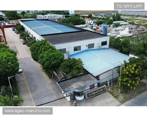 最新k8凯发官网网址入口推荐帮助新手玩家轻松找到官方平台